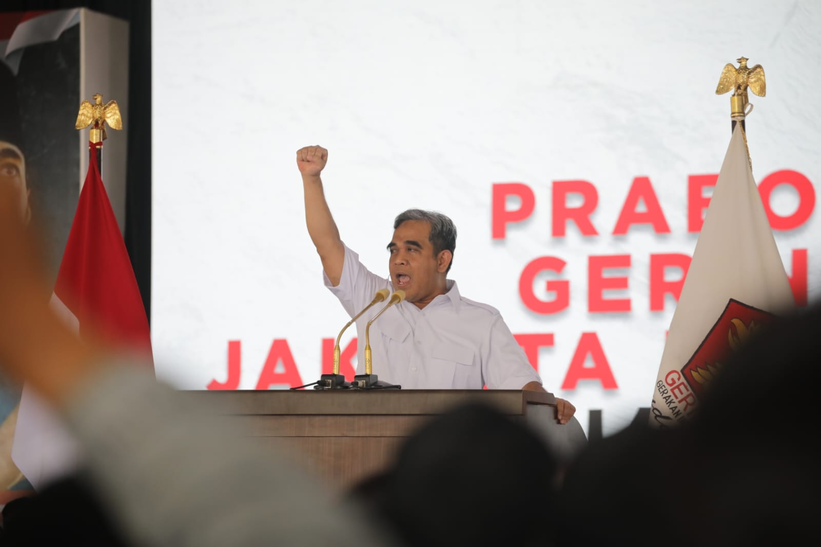 Partai Gerindra Ahmad Muzani